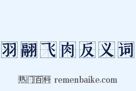 羽翮飞肉反义词是什么意思的图片